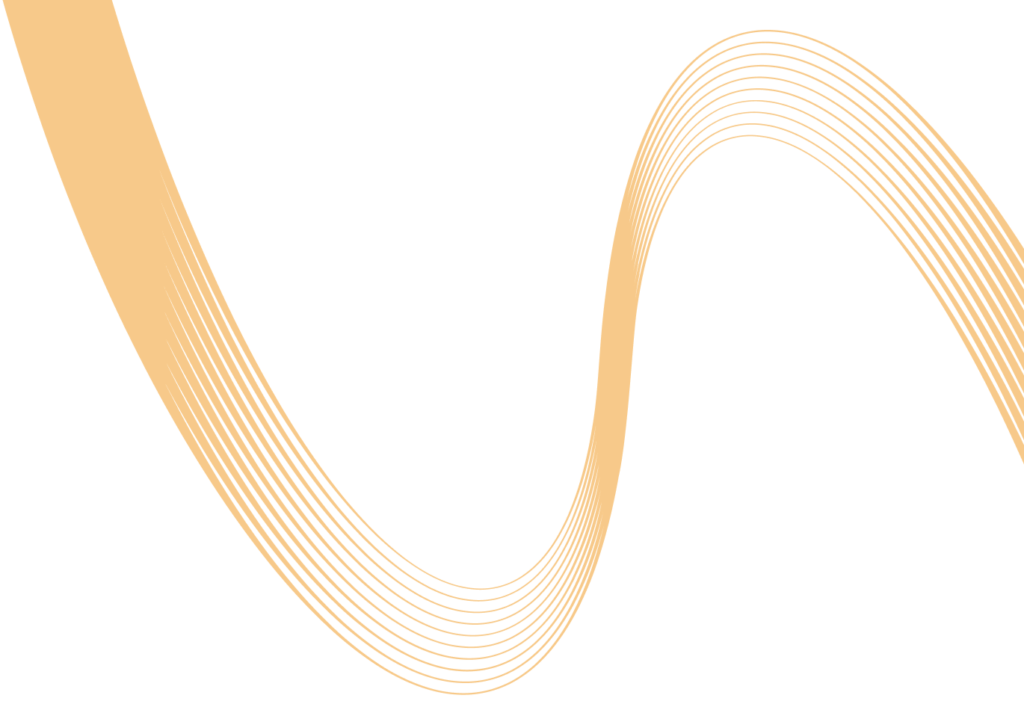 lmiconsultancy-asset-vector-section-service-right