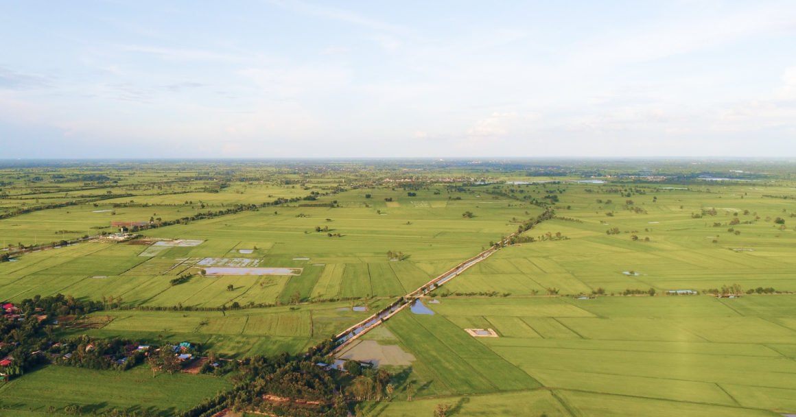 lmiconsultancy-image-real-land-asset-service