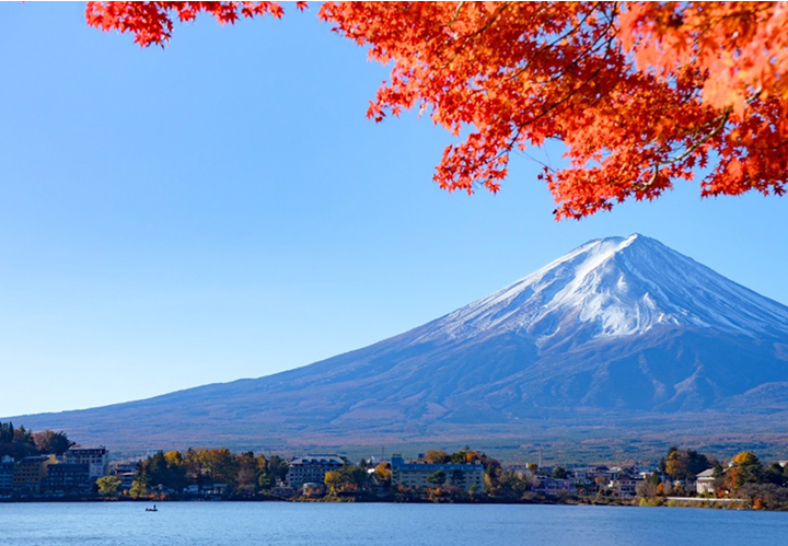 lmiconsultancy-country-japan.jpg