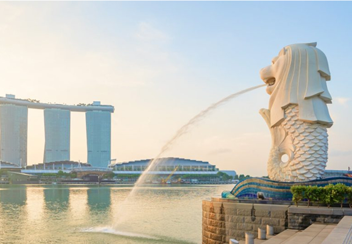 lmiconsultancy-image-service-singapore-country