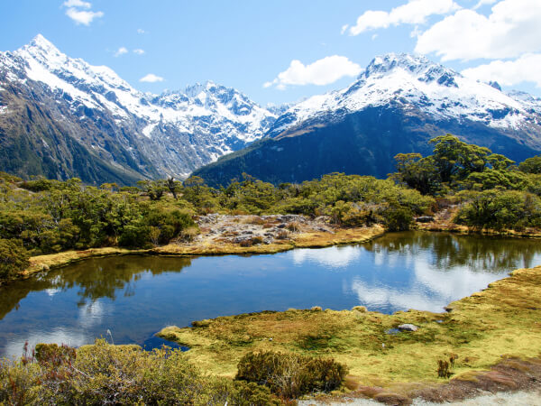 lmiconsultancy-travel-new-zealand-asset