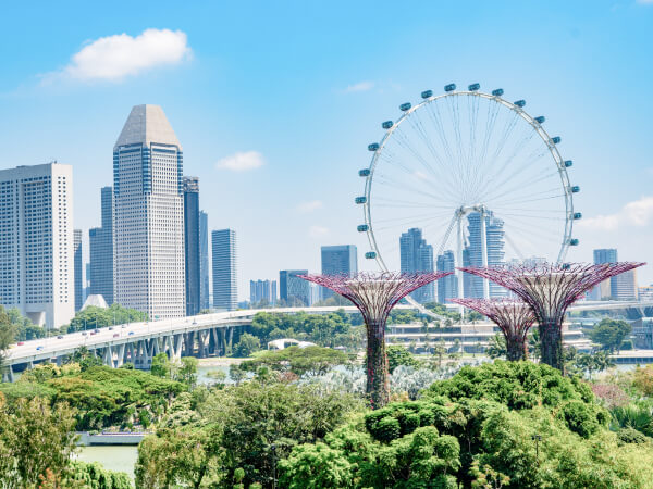 lmiconsultancy-travel-singapore-asset