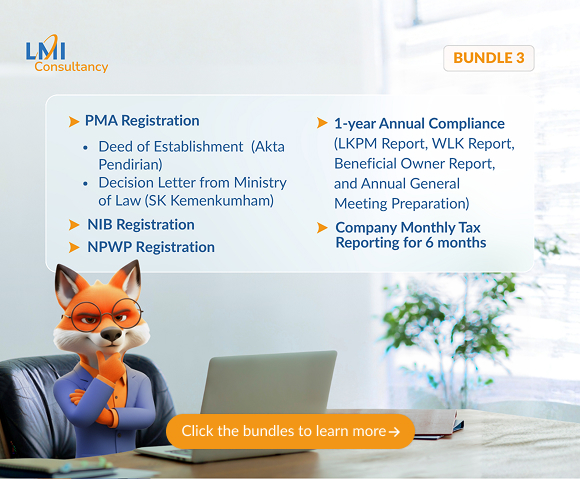 lmiconsultancy-bundle-asset-3