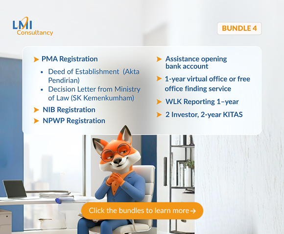 lmiconsultancy-bundle-asset-4