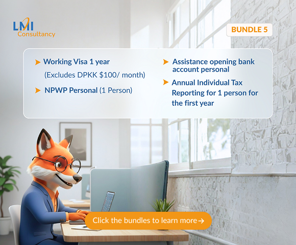 lmiconsultancy-bundle-asset-5